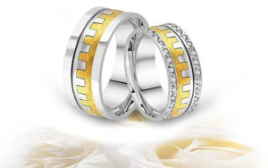 217xxx0.00xxx14-300×188